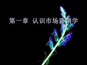 市场营销学精品课程.ppt