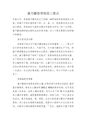 康乃馨春季保苗三要点.docx