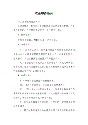 政策申办指南.docx
