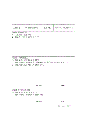 总监巡查记录.docx