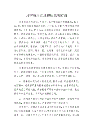 月季栽培管理和病虫害防治.docx