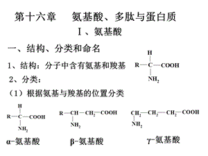 有机化学氨基酸分析.ppt