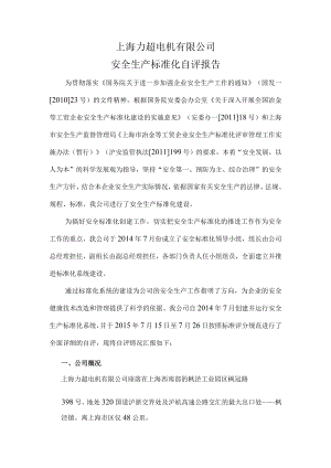 安全生产标准化自评报告.docx