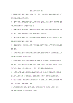 建筑施工项目安全责任.docx