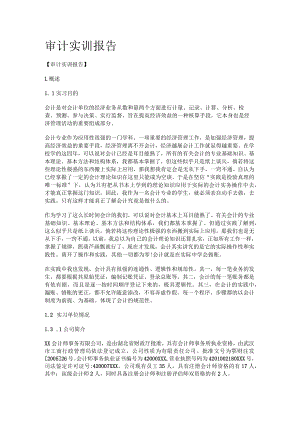 审计实训报告.docx