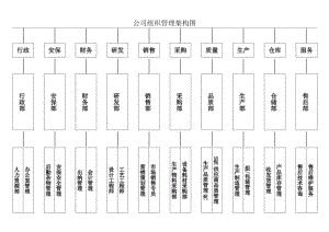 公司组织架构图.docx