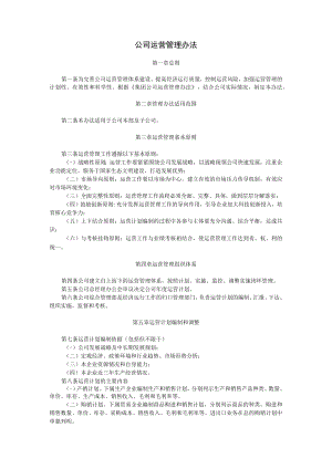 公司运营管理办法.docx