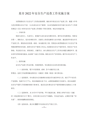 某市2022年安全生产巡查工作实施方案及工作流程.docx