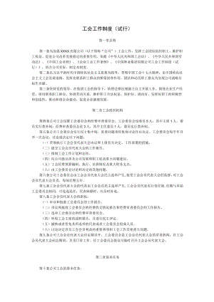 工会工作制度（试行）.docx