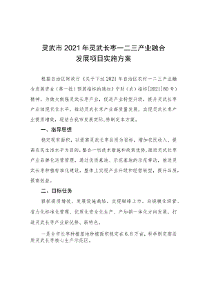 灵武市2021年灵武长枣一二三产业融合发展项目实施方案.docx