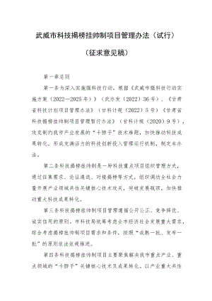 武威市科技揭榜挂帅制项目管理办法（试行）.docx