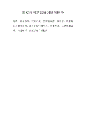 野草读书笔记好词好句感悟.docx