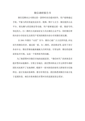 微信调研报告书.docx