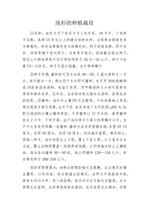 池杉的种植栽培.docx