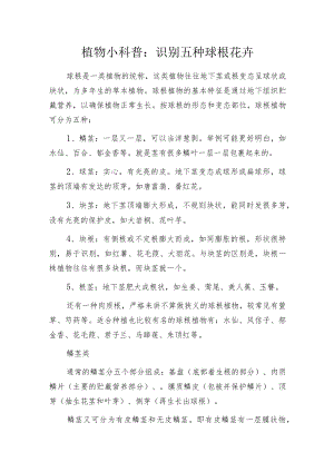 植物小科普：识别五种球根花卉.docx