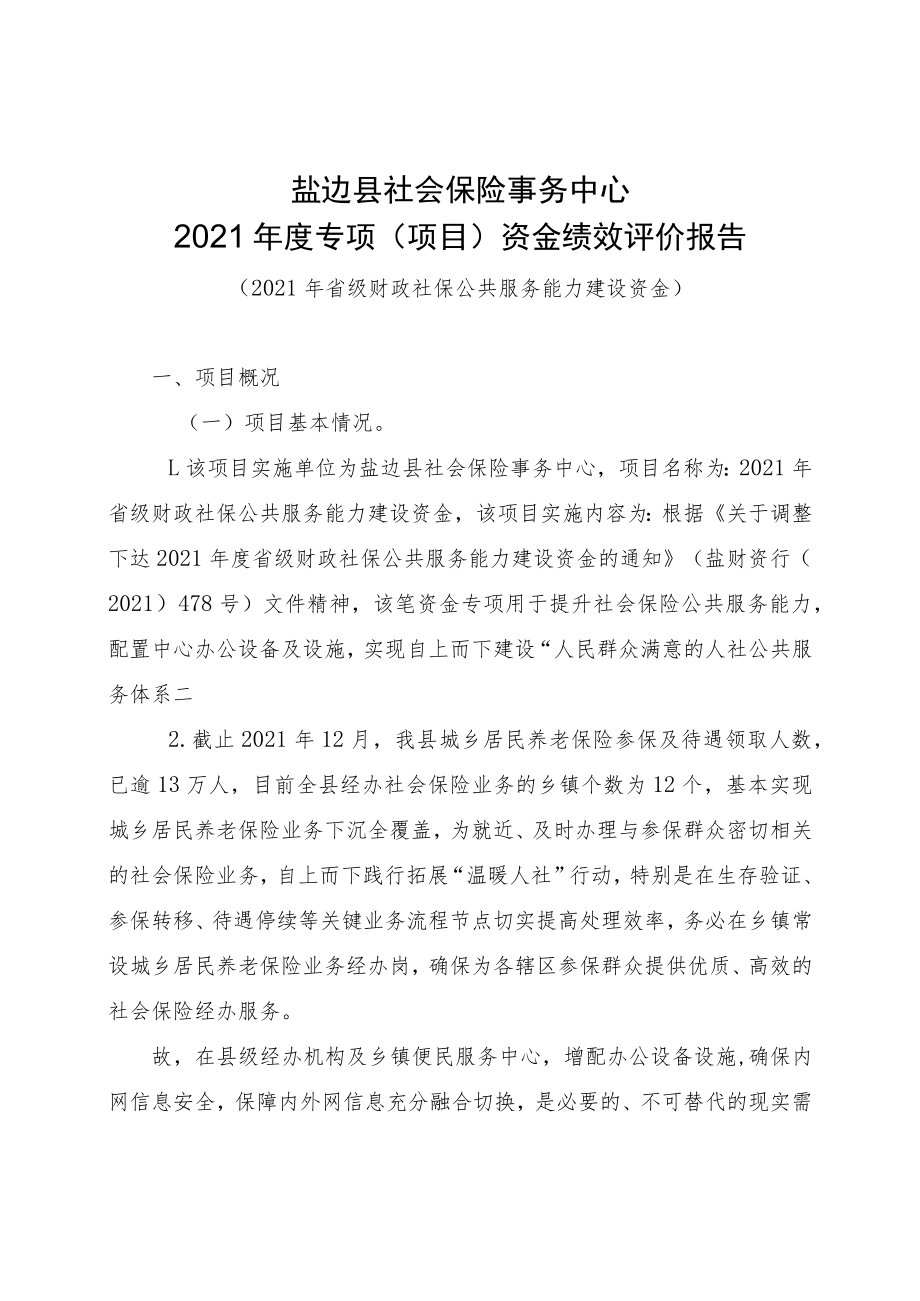 盐边县社会保险事务中心2021年度专项项目资金绩效评价报告.docx