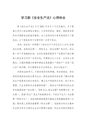变电站人员学习新《安全生产法》心得体会十篇样本.docx