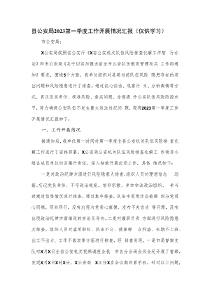 县公安局2023第一季度工作开展情况汇报.docx