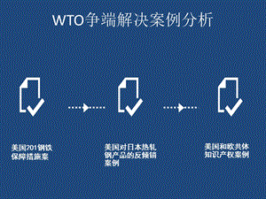 WTO争端解决案例分析.pptx