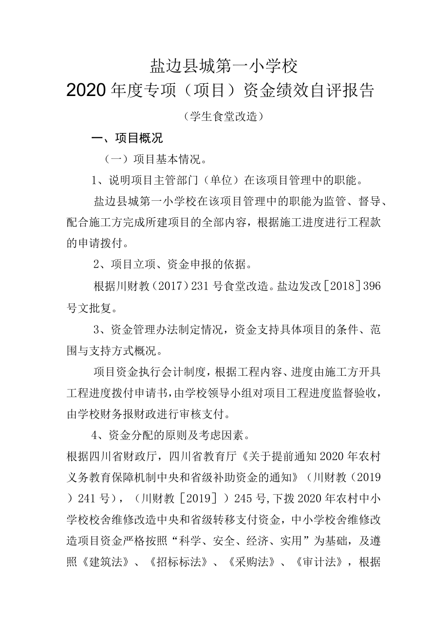 盐边县城第一小学校2020年度专项项目资金绩效自评报告.docx