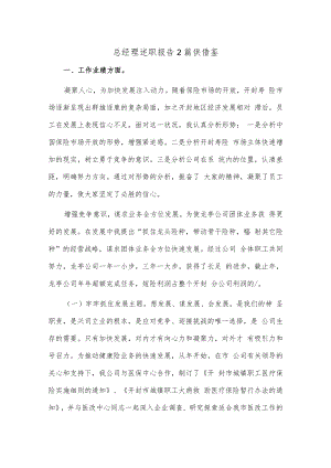 总经理述职报告2篇供借鉴.docx