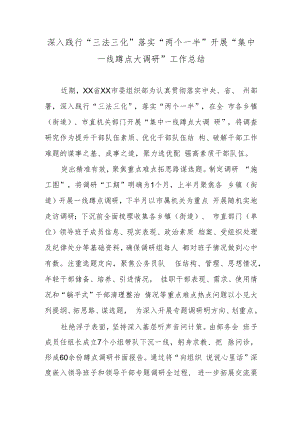 深入践行“三法三化”落实“两个一半”开展“集中一线蹲点大调研”工作总结.docx