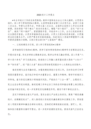 2023统计工作要点.docx