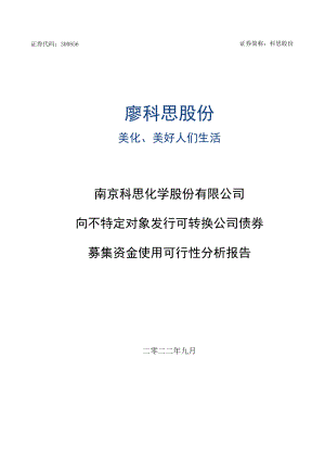 科思股份：向不特定对象发行可转换公司债券的募集资金使用可行性分析报告.docx