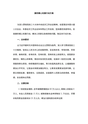 惠民暖心优服行动方案.docx