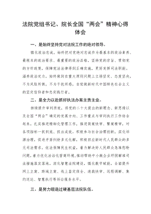 法院党组书记、院长全国“两会”精神心得体会.docx