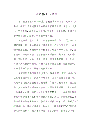 中学艺体工作亮点.docx