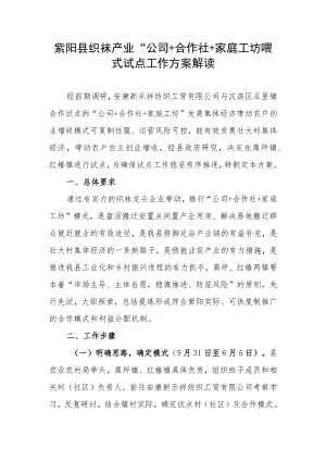 紫阳县织袜产业“公司 合作社 家庭工坊”模式试点工作方案解读.docx