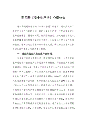 2022年新《安全生产法》学习心得十篇.docx
