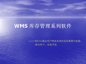 WMS+库存管理系统.pptx