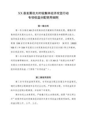 XX县发展壮大村级集体经济攻坚行动专项收益分配使用细则.docx