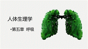 人体生理学——呼吸.pptx