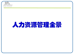 人力资源全景.pptx