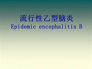 乙脑培训课件.pptx