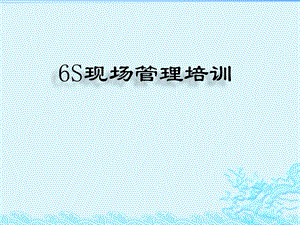 6S培训资料精华版本.pptx