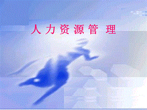 人力资源管理高健.pptx