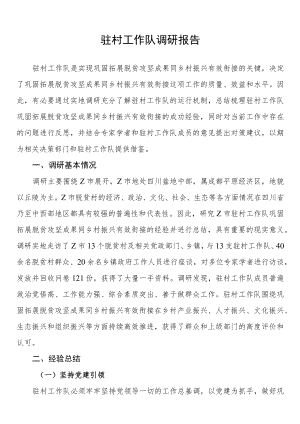 驻村工作队调研报告.docx