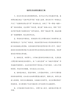 组织生活会意见建议汇编.docx