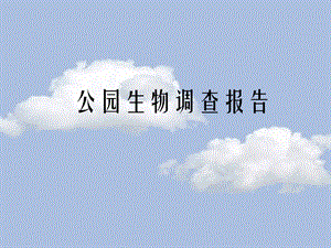 公园生物调查报告.pptx