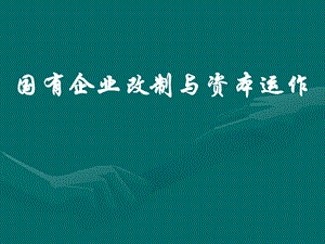 国有企业改制与资本运作.pptx