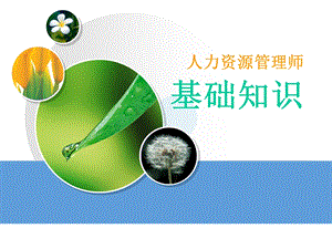 企业人力资源管理师(基础知识).pptx