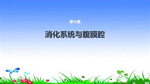急腹症影像学检查.pptx