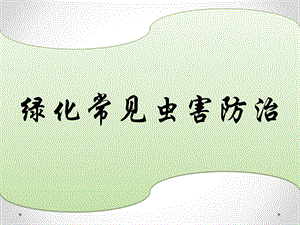常见病虫害防治.pptx