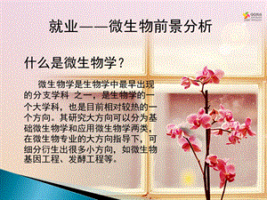微生物与就业.pptx