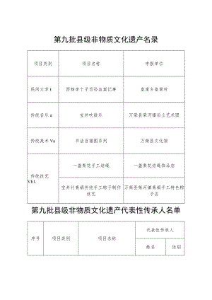 第九批县级非物质文化遗产名录.docx