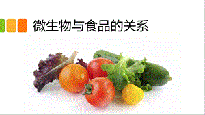 微生物与食品的关系.pptx